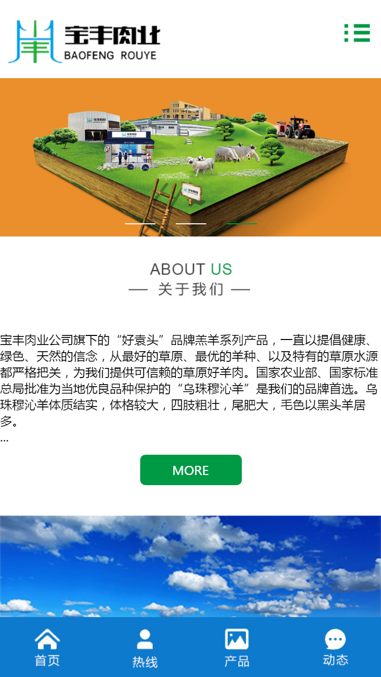 寶豐集團(tuán)好袁頭有限責(zé)任公司手機(jī)站設(shè)計