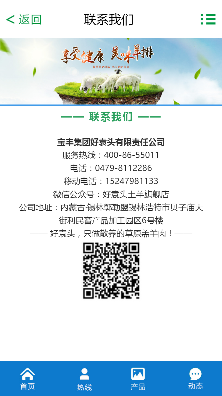 寶豐集團(tuán)好袁頭有限責(zé)任公司手機(jī)站設(shè)計