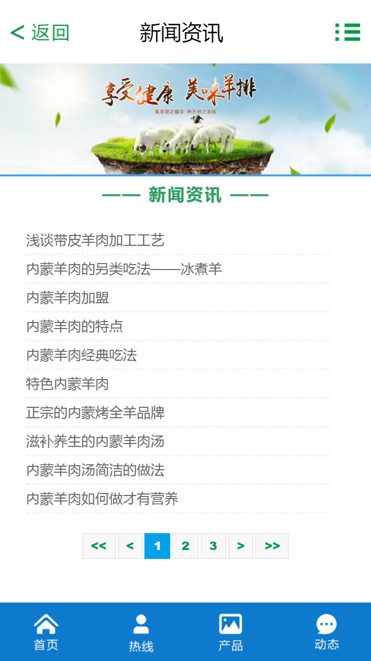 寶豐集團(tuán)好袁頭有限責(zé)任公司手機(jī)站設(shè)計